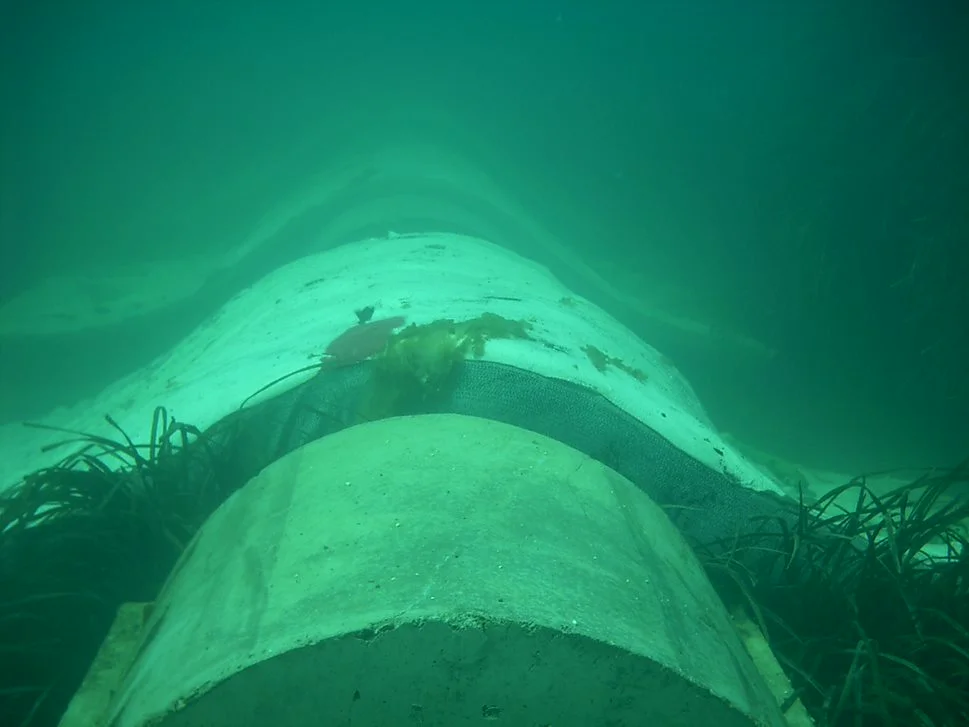 Inspection & Maintenance